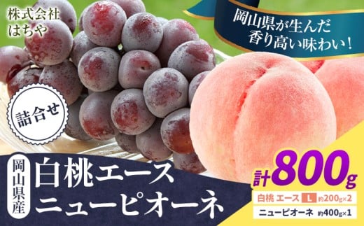 [2026年先行予約]岡山県産 岡山白桃 エース ニューピオーネ 計 800g 詰合せ 株式会社 はちや[2026年7月上旬‐8月下旬頃出荷]もも 岡山 国産 フルーツ 果物 岡山県 浅口市 フルーツ モモ 果物[配送不可地域あり]