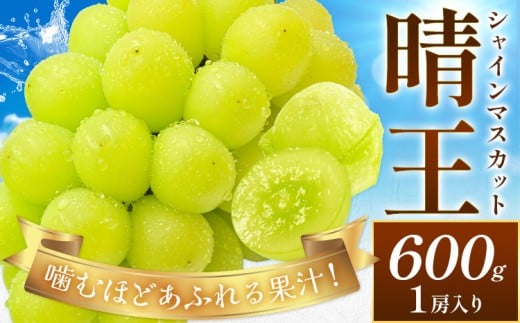 [2026年先行予約]ぶどう シャインマスカット 晴王 約600g (1房入り) 満天フルーツ[2026年9月上旬-10月末頃出荷]岡山県 浅口市 送料無料 マスカット フルーツ 果物 お取り寄せフルーツ 贈り物 ギフト 国産 岡山県産[配送不可地域あり]