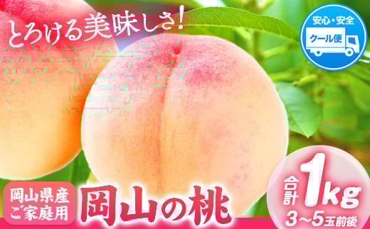 【2026年発送先予約】桃 岡山の桃 約1kg (3~5玉)《2026年6月下旬-9月上旬頃出荷》岡山県 矢掛町