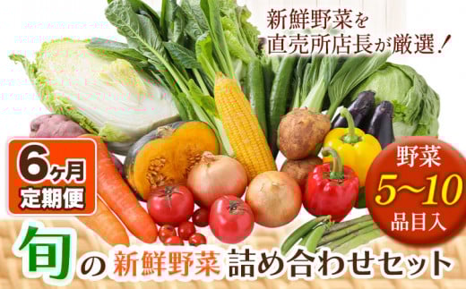 207.【6ヶ月定期便】旬の新鮮野菜詰め合わせセット 野菜5~10品目入 青空市きらり《お申込み月の翌月から出荷開始》岡山県 矢掛町 野菜 野菜詰め合わせ トマト きゅうり アスパラガス 玉ねぎ リーキ 送料無料