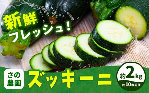【2026年発送先行予約】ズッキーニ 約 2kg 約 10本 前後 野菜 さの農園《2026年4月中旬-7月上旬頃出荷》岡山県産 瓜 青果 岡山県 矢掛町