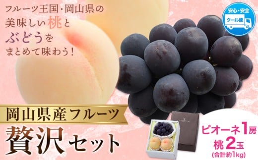 【2026年発送先行予約】桃・ピオーネ詰め合わせ 約1kg クール便 冷蔵便 桃 もも 葡萄 ブドウ ぶどう ピオーネ フルーツ セット 晴れの国おかやま館 《2026年8月下旬-9月中旬頃出荷》 フルーツ 果物 果実 岡山県 矢掛町
