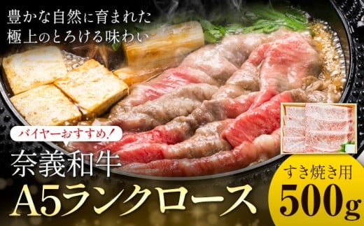 奈義和牛 A5ランクロース バイヤーおすすめ! すき焼き用 500g 株式会社 天満屋《30日以内に出荷予定(土日祝除く)》岡山県 矢掛町 和牛 牛肉 肉 A5ランク すき焼き 送料無料