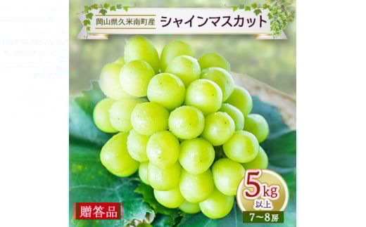 久米南シャインマスカット5kg以上(7~8房)<贈答品>【1016882】
