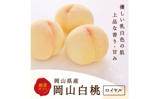 <2026年発送>岡山県産 白桃 5玉 (1.5kg以上) 等級:ロイヤル 木箱入り【1501076】