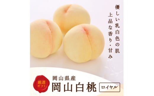 <2026年発送>岡山県産 白桃 6玉 (1.5kg以上) 等級:ロイヤル 化粧箱入り【1501092】