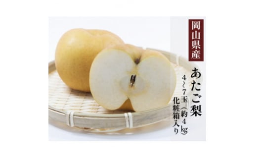 岡山県産 あたご梨 4~7玉(約4kg) 化粧箱入り【1501095】