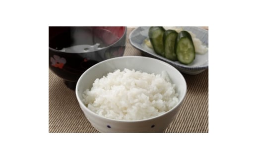 <食味鑑定士厳選>岡山県産 きぬむすめ5kg(5kg×1袋)【1643917】