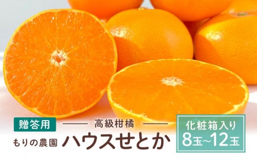 高級柑橘 贈答用ハウスせとか化粧箱8玉〜12玉 2026年2月中旬〜発送予定[産地直みかん せとか 柑橘 果物 フルーツ 人気 おすすめ 瀬戸内 広島県 尾道市]