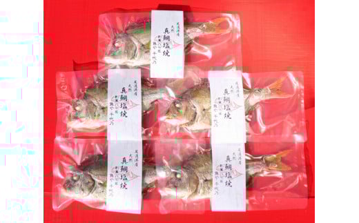 天然真鯛の塩焼き５尾 ～お祝い・お食い初め等におすすめ～【お祝い ギフト お食い初め 尾道市 鯛 塩焼き 真鯛】