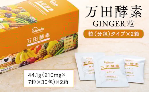 万田酵素 GINGER 粒（分包）タイプ ×２箱【しょうが ジンジャー 粒 酵素 万田酵素 万田発酵 発酵食品 国産 発酵 発酵サプリ 植物性 野菜 美容 健康 健康補助食品 まんだこうそ おすすめ 人気 広島県 尾道市】