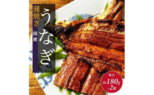 国産 うなぎの蒲焼き 特大 180g×2尾 タレ・山椒付［3-4人前］【鰻 魚介類 水産 かば焼き うな重 丑の日 食品 人気 おすすめ 広島県 尾道市】