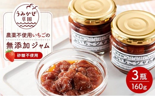 いちごの無添加ジャム(農薬不使用栽培・砂糖不使用)160g×3瓶