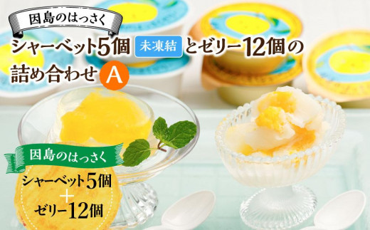 因島のはっさくシャーベット(未凍結)とゼリーの詰め合わせA (シャーベット5個、ゼリー12個)【17個セット ひろしま銘菓 八朔 はっさくゼリー スウィーツ 菓子 贈り物 土産 広島県 尾道市】