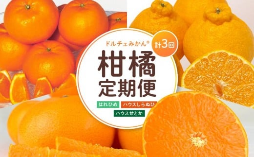 尾道発 厳選!柑橘定期便 全3回 はれひめ ハウスせとか ハウス不知火[しらぬい しらぬひ 頒布会 果物 フルーツ 人気 おすすめ 瀬戸内 広島県 尾道市]