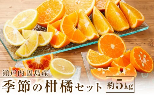 季節の柑橘セット約5kg <2026年1月下旬から発送>【フルーツ 果物 くだもの 食品 人気 おすすめ】