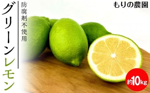 【レモン島から贈る】安心の国産グリーンレモン10kg 2025年10月下旬より発送予定【柑橘 果物 フルーツ人気 おすすめ 瀬戸内 広島県  尾道市】