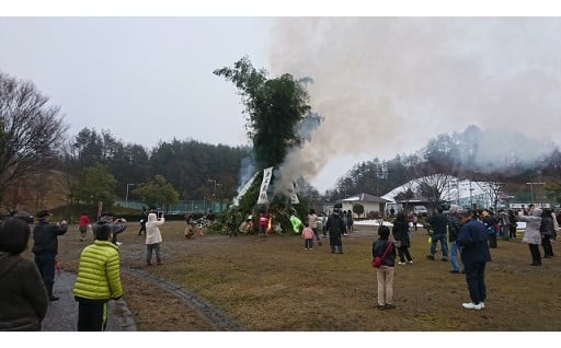 12.協働によるまちづくり（豊平地域自治振興会の活動支援）