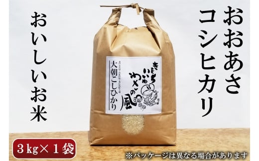 コシヒカリ 精米 3kg おおあさコシヒカリ わさ～る産直館 米どころ北広島町のおいしいお米_WA012_004
