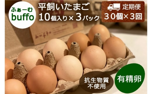 『定期便』全3回 卵 平飼い 30個 ふぁーむbuffo 毎月届く定期便_FA090_001s3