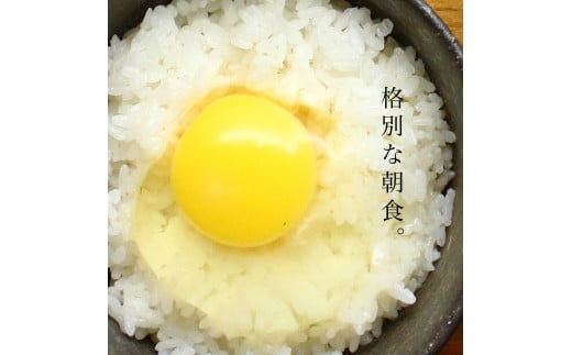 たまごかけごはん 平飼い卵 四ツ葉農場の絶品たまごかけごはんセット 霜降りたまご+あすなろの北広島町産米こしひかり_YO019_008