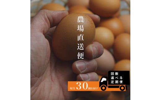 『定期便』四ツ葉農場の霜降りたまご「きみがスター」30個 全12回_YO019_003s12