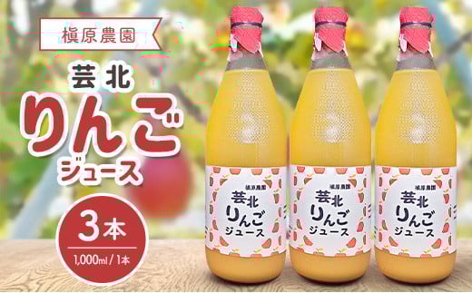 りんごジュース 芸北りんご 槇原農園 果汁100% ストレートジュース 1,000ml 3本_MA077_004