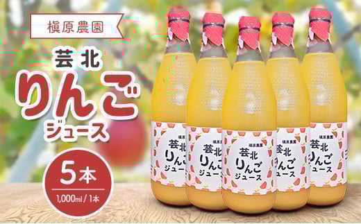 りんごジュース 芸北りんご 槇原農園 果汁100% ストレートジュース 1,000ml 5本_MA077_005