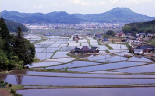 ②農業、観光、商工業等の振興に関する事業