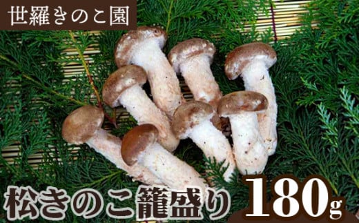 No.145 松きのこ籠盛り　約180g ／ キノコ 世羅ブランド品 広島県