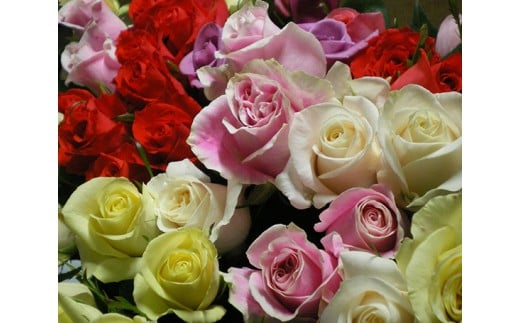 No.042 【バラ風呂用】バラの花　約90輪 ／ お花 薔薇 ローズ 入浴用 広島県