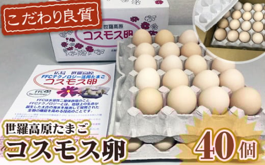 No.088 コスモス卵ピンク 40個 / たまご タマゴ 新鮮 広島県