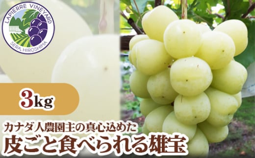 No.311 【カナダ人農園主の真心を込めた】皮ごと食べられる雄宝約3kg / 葡萄 ブドウ ぶどう 果物 フルーツ 新鮮 広島県 特産品
