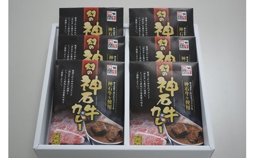 [B-16]「幻の神石牛カレー」セット