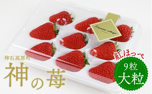 神石高原産「神の苺」（大粒）　※令和8年1月から4月発送予定