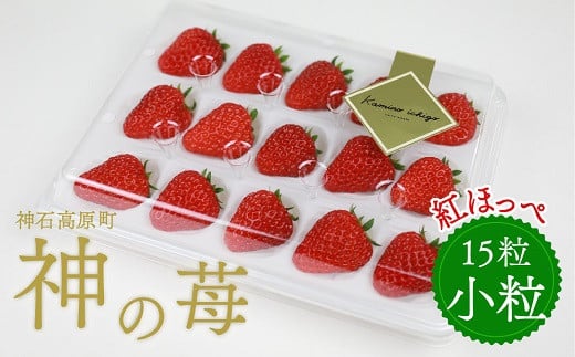 神石高原産「神の苺」（小粒）　※令和8年1月から4月発送予定