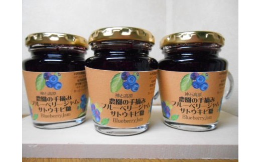 [A-33]無添加ブルーベリージャム（奄美諸島産サトウキビ糖110g）3本