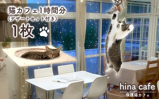 No.201 デザートセットチケット1枚 / hinacafe 猫カフェ スイーツ ドリンク 保護猫 遊び 触れ合い 写真撮影 まったり 癒し 山口県