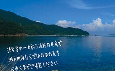 沖家室島の一本釣り漁師のお宿で旬の味覚に舌鼓(1名様分宿泊券)