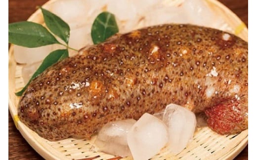 ☆冬季限定☆<周防大島産>天然活赤なまこ 500g【先行受付開始!2026年1月20日以降のお届け】