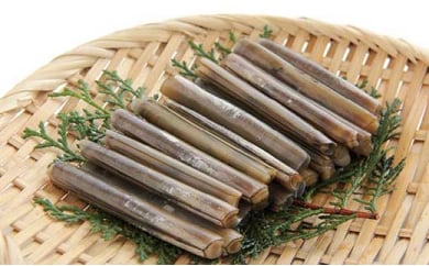 <1本1本獲ってます!>周防大島産 天然活マテ貝 300g