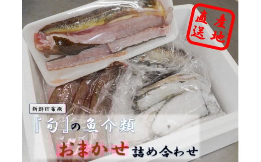 『旬』の魚介類おまかせ詰め合わせセット【新鮮田布施】C-2