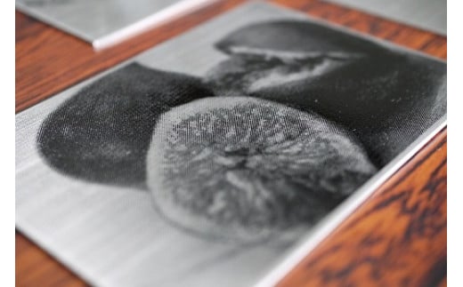 ステンレスエッチング(2L)【ケンチク】C-51