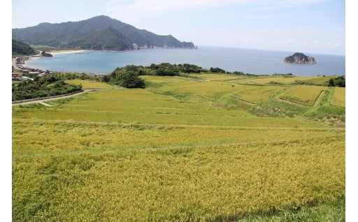 ふるさとの自然、景観の保全活動