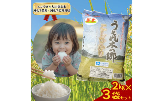 令和7年産 阿武町 「 うもれ木の郷 」 こしひかり 2kg×3袋 【 エコやまぐち認証 】