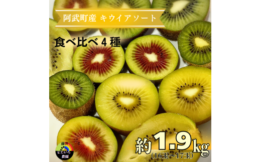【 先行予約 】 キウイ フルーツ 食べ比べセット 約1.9kg ( 4種アソート ) 阿武町産 希少品種を厳選! 旬の味 を堪能 フルーツ 果物 デザート 山口県産 【お届け:2025年11月14日頃~2026年1月31日頃】※品種指定不可・合計8種から4種をお届け