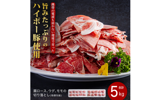 豚肉 阿武町産 豚 切り落とし 5kgセット | 携帯の電波も届かない環境で育った旨みたっぷりのハイポー豚 豚 肉 お肉 ※配送不可:離島
