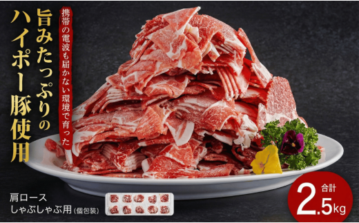 豚肉 肩ロース しゃぶしゃぶ 250g×10パック 小分けセット | 携帯の電波も届かない環境で育った旨みたっぷりのハイポー豚 豚 肉 お肉 ※配送不可:離島