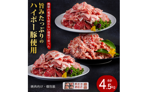 豚肉 阿武町産 豚肉 盛り合わせ 4.5kg | 携帯の電波も届かない環境で育った旨みたっぷりのハイポー豚 豚 肉 お肉 ※配送不可:離島