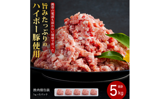 豚肉 阿武町産 豚挽肉 1kg×5パック 小分けセット | 携帯の電波も届かない環境で育った旨みたっぷりのハイポー豚 ひき肉 挽肉 豚 肉 お肉 ※配送不可:離島